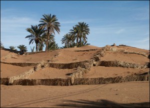 desertificationMhamid