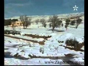 تساقط الثلوج بجرادة