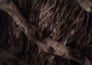 construction-boumalen-dades-5