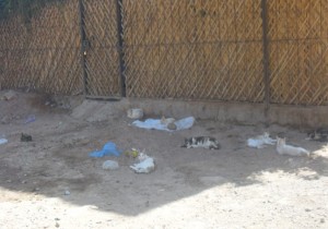 ouididia-ennasr-zagora-1