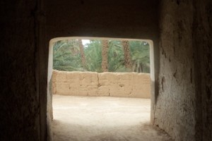 oasis-taghjijt-1