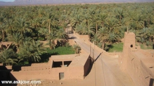 10151302_457604047705289_1643996359_n