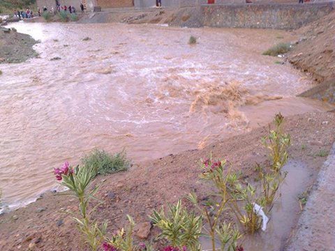 أمطار زاكورة