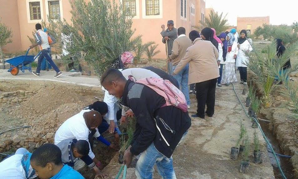 lycee mazguita - activite pour l'environnement -2