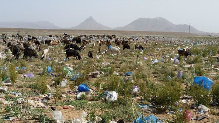 المطرح العشوائي للنفايات.... الكارثة البيئة الخطيرة‎-2