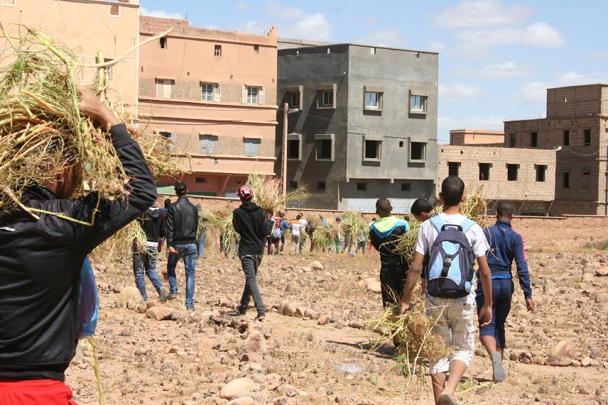 123متطوع يشاركون في تنظيف مقابر زاوية البركة- 5