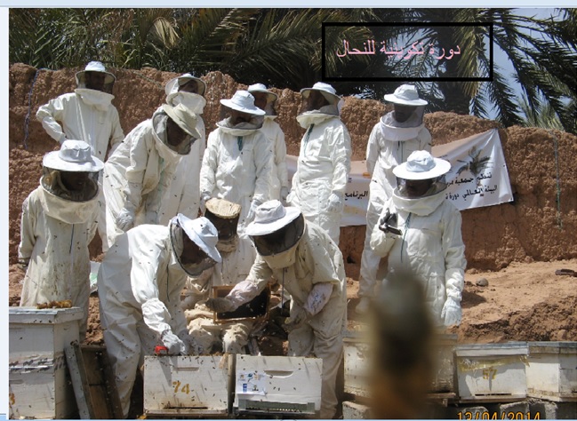 جمعية مربي النحل