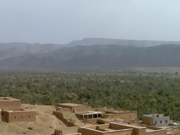 Oasis du Maroc