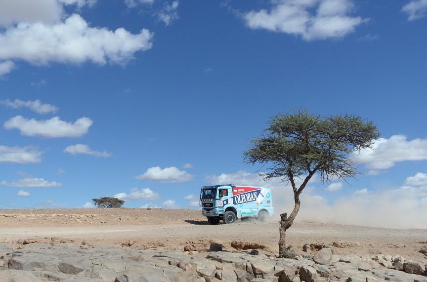 AAEZ تستنكر تدمير المجال الصحراوي وتهديد التنوع البيولوجي بحوض درعة-1