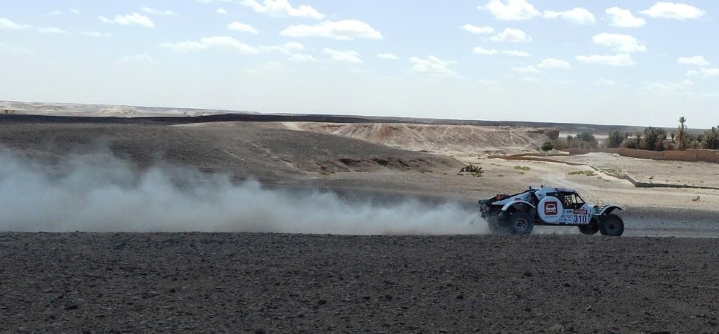 AAEZ تستنكر تدمير المجال الصحراوي وتهديد التنوع البيولوجي بحوض درعة