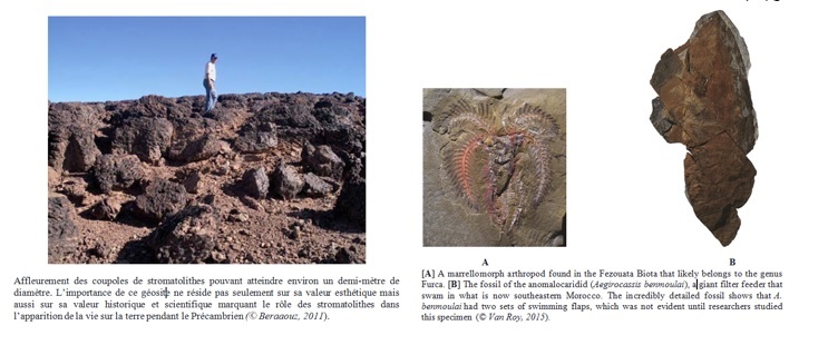 زاكورة تستقبل باحثين جيولوجين مغاربة وأجانب حول الثراث الجيولوجي 1