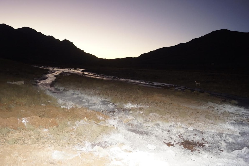 f7cdc4d8-adcc-4167-94a3-c0c4684b8246