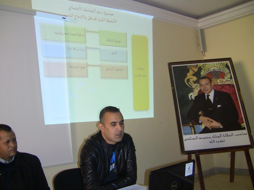 الإدماج المهني والأنشطة المدرة للدخل لفائدة الأشخاص في وضعية إعاقة في إطار صندوق دعم التماسك الاجتماعي-1