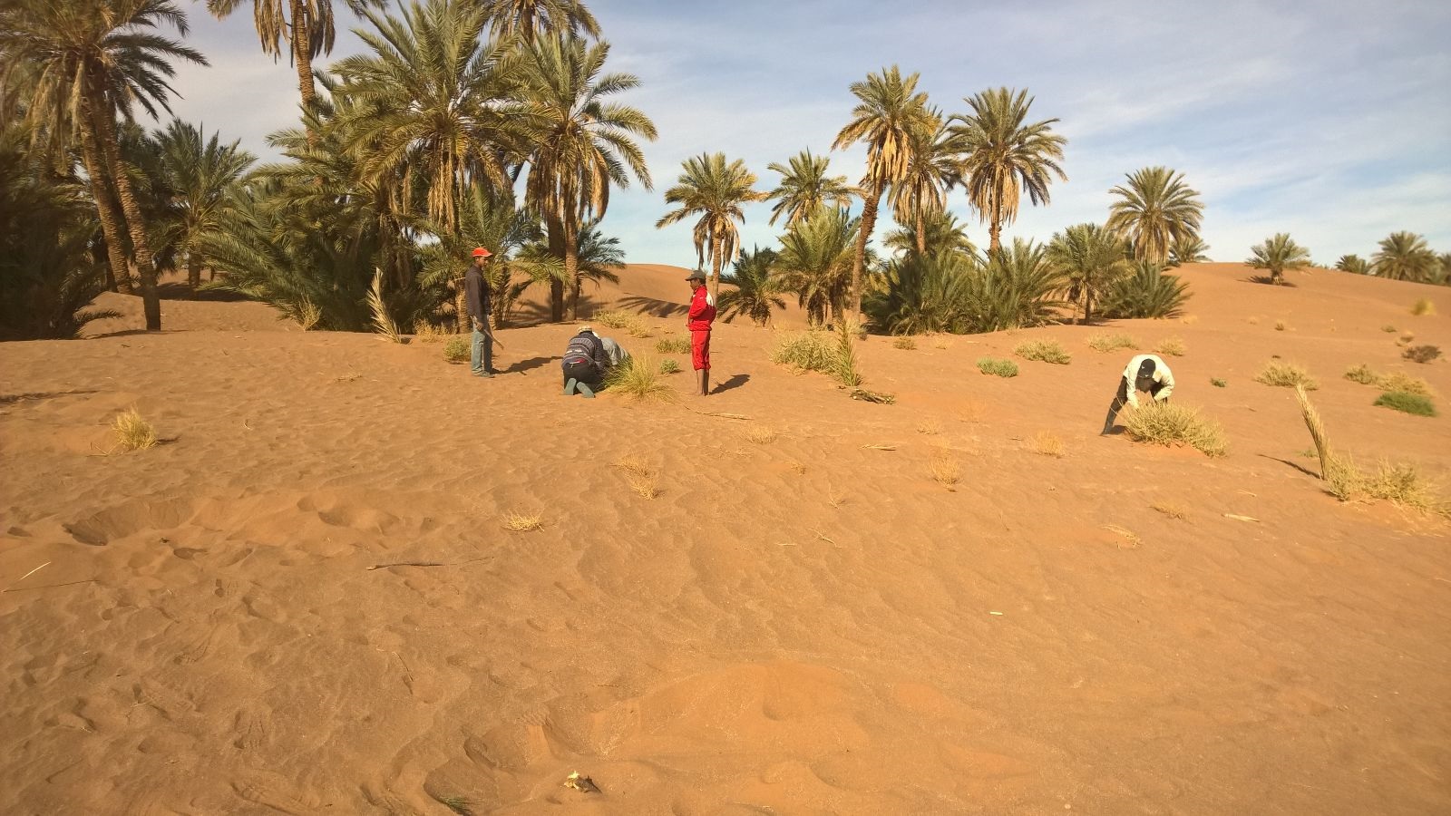 عملية التثبيت النهائي للرمال-2