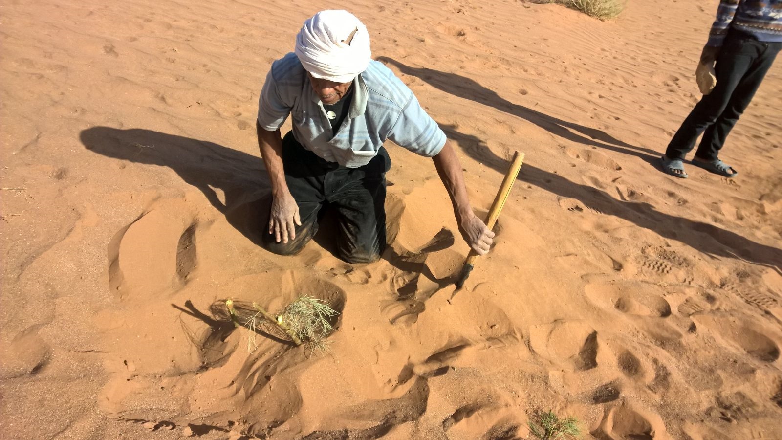 عملية التثبيت النهائي للرمال-3