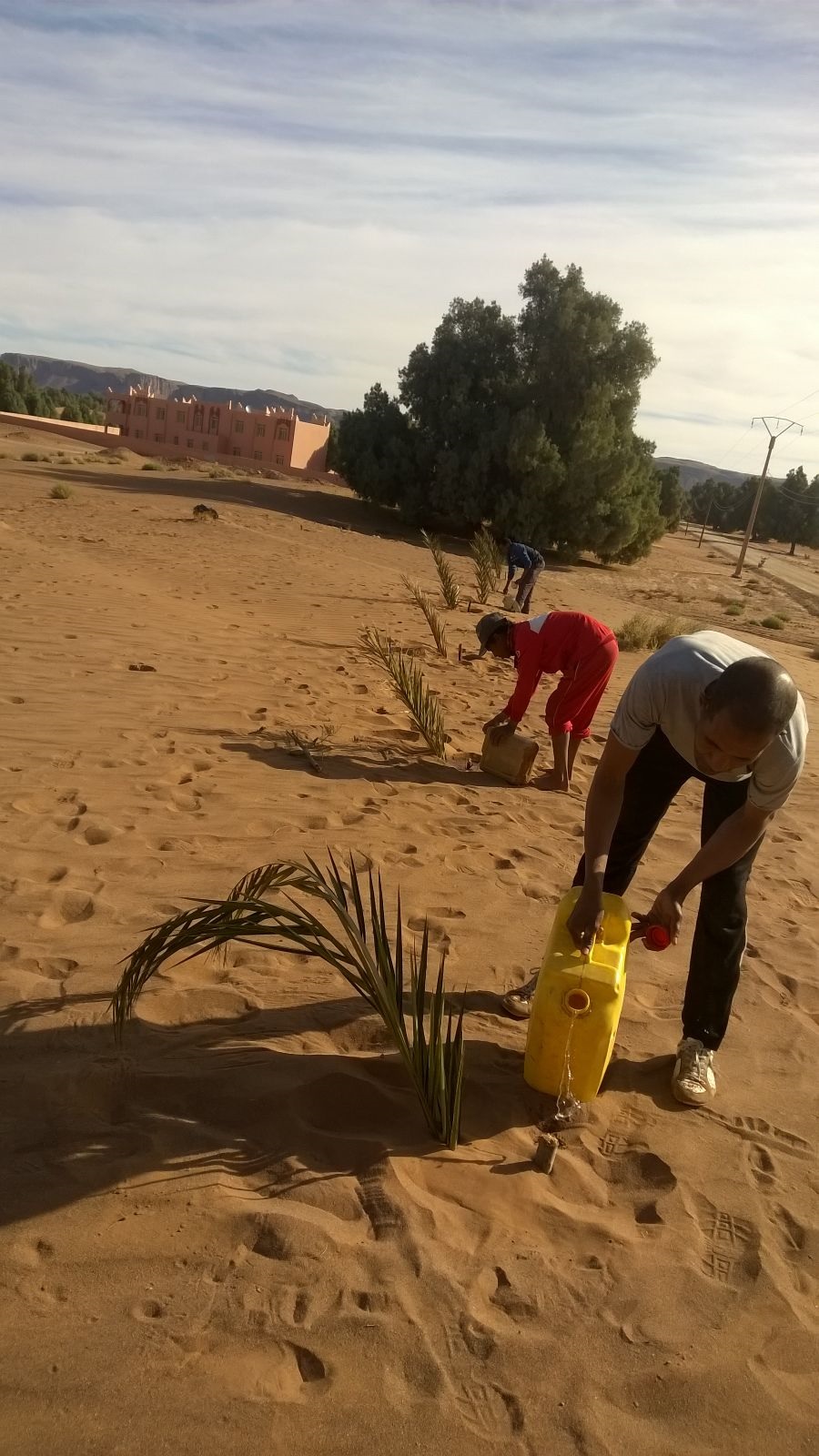 عملية التثبيت النهائي للرمال-4