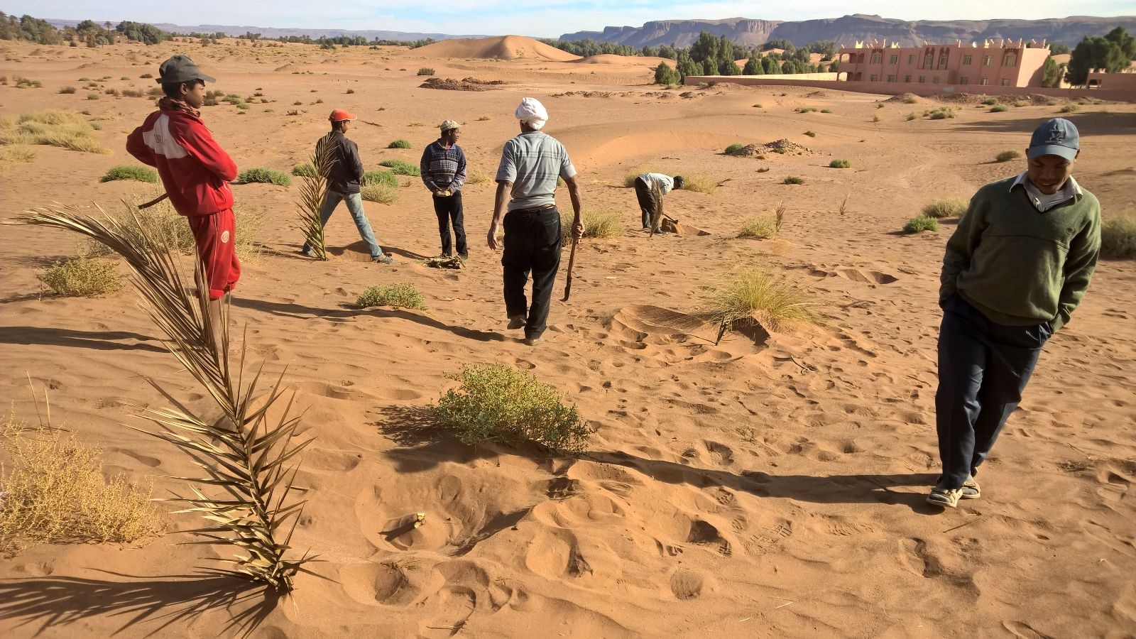 عملية التثبيت النهائي للرمال-6