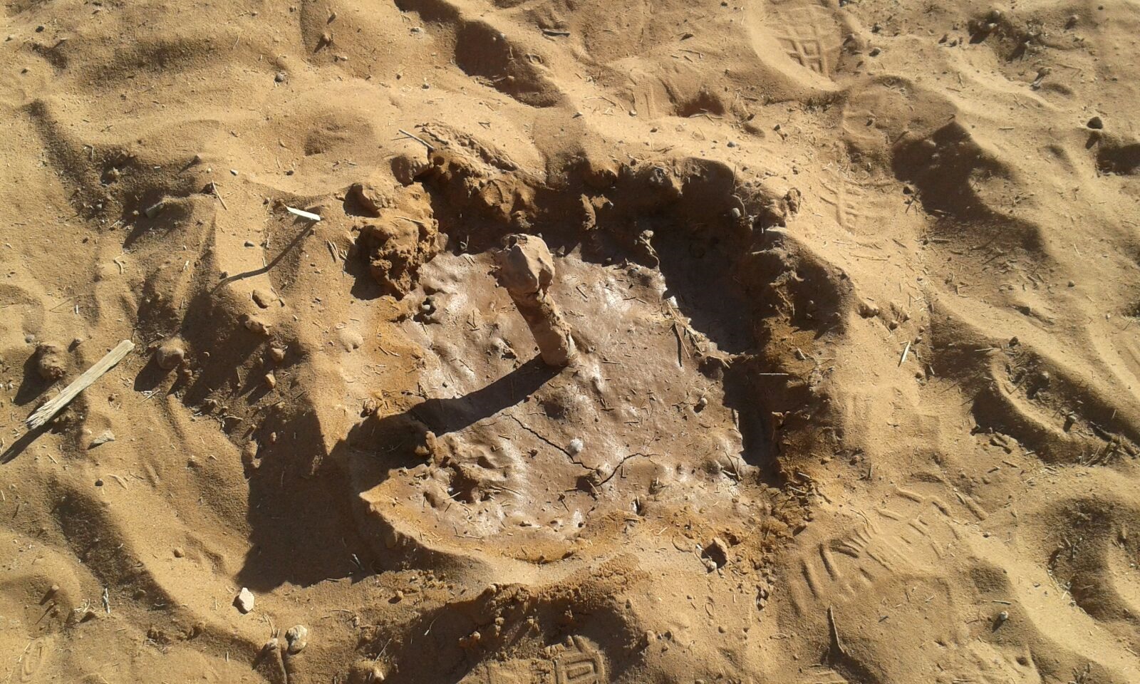 عملية التثبيت النهائي للرمال