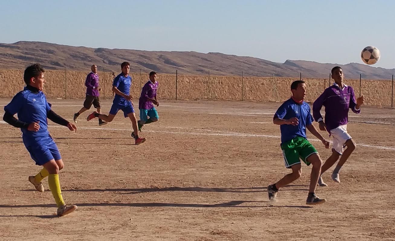 503706df-1d02-4ba3-b905-51285d0ef719