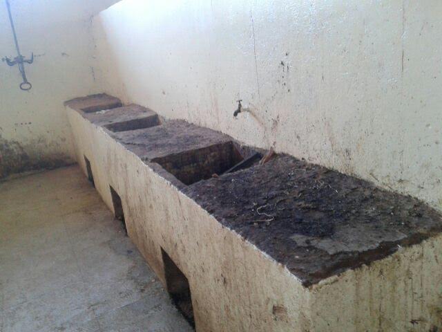 517b7e91-9a5b-4c93-8623-243d35af242c