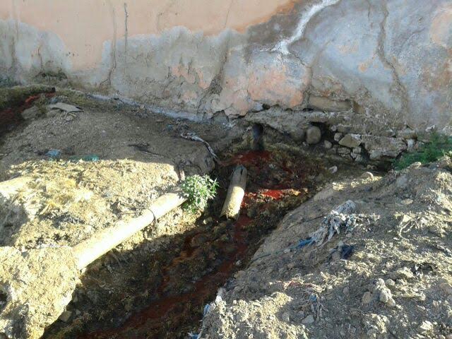 5dc9d7d9-b52d-466d-a5db-338fff5c1014