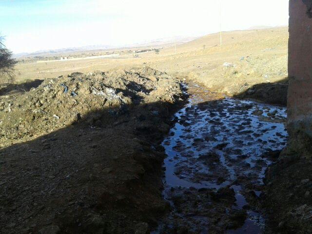 d3be02a8-f99c-48bb-a2d9-0025c7ab8a32