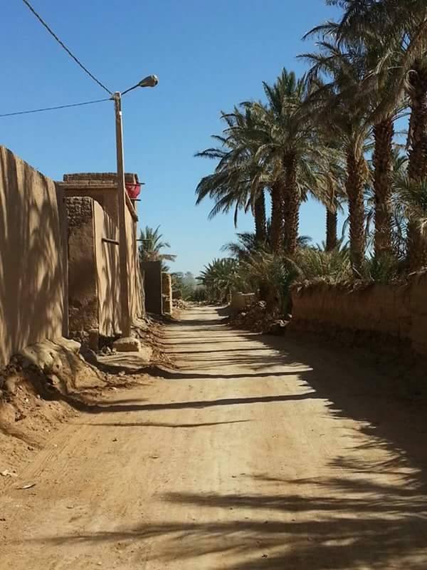 12788145_1744011399161187_1689070634_n