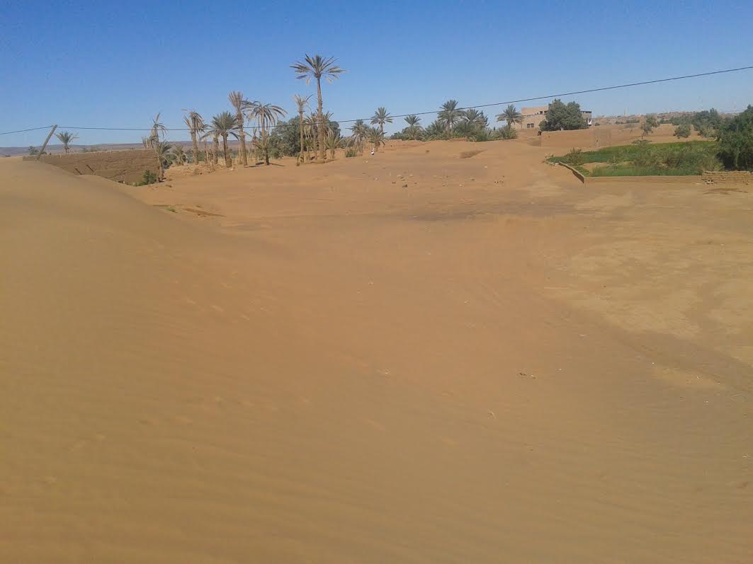 1bca91f4-eebb-42c8-90e3-bd9d1ed0e883