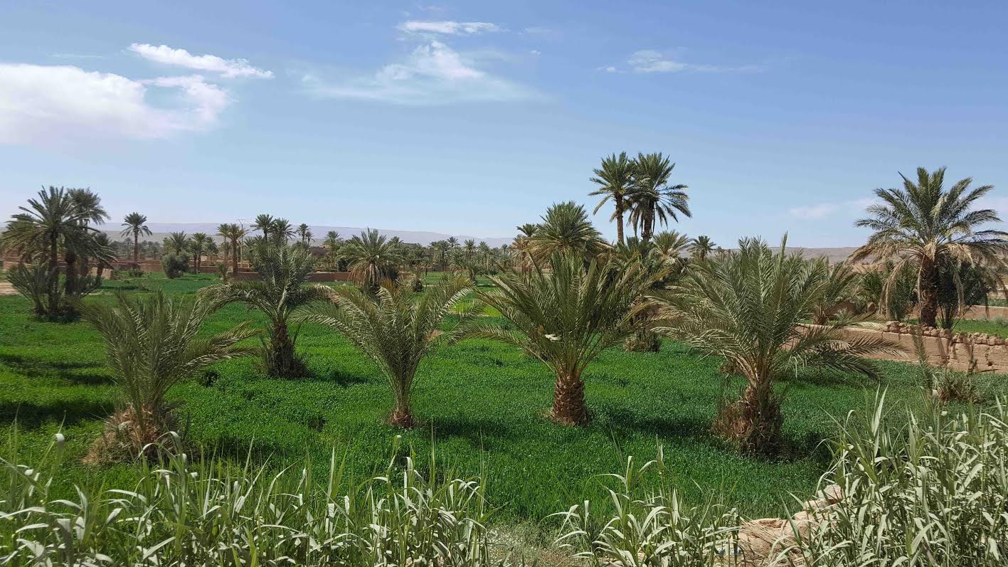 20fddd2b-18de-4753-835c-13fad6e77075