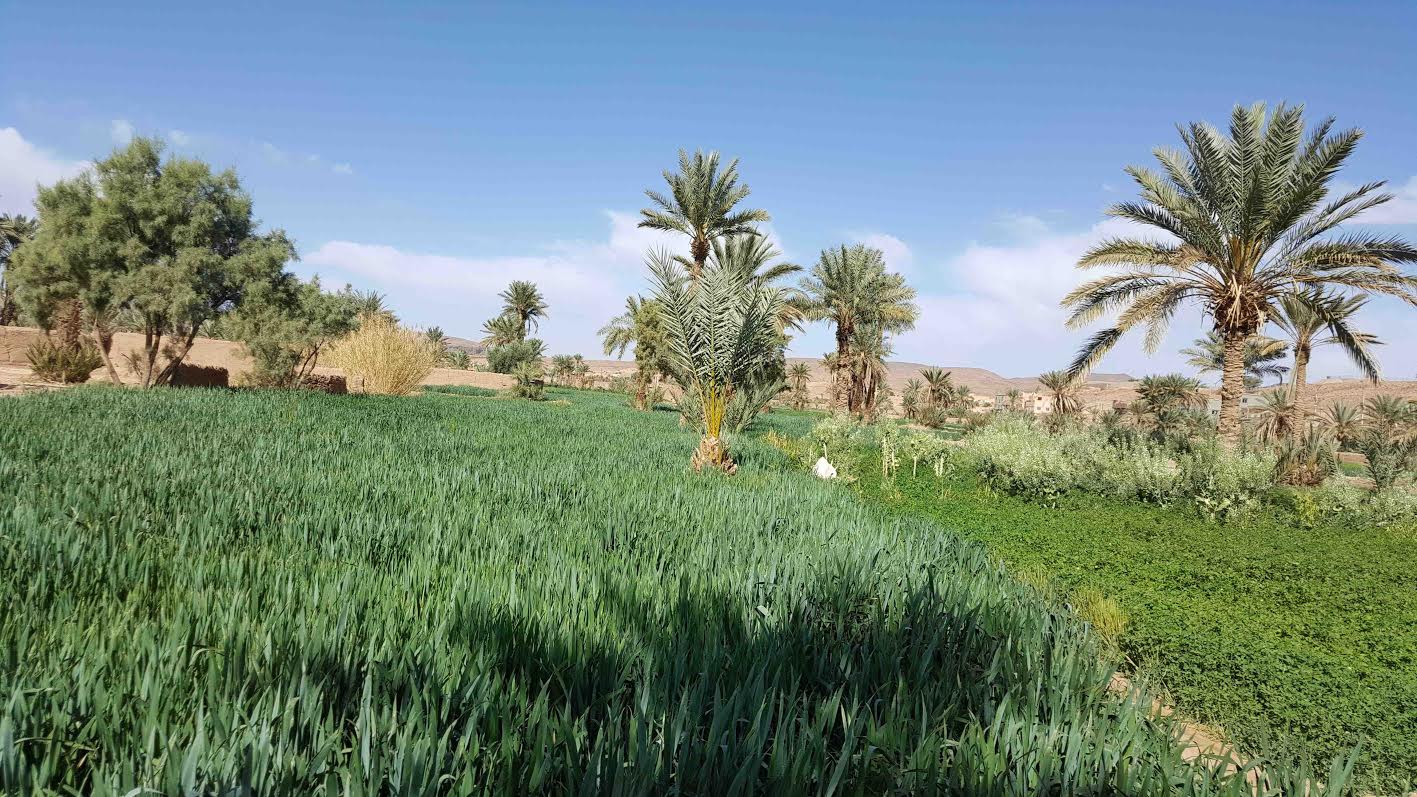 2710ae5f-6ae6-48f7-b708-0f997f4db52e