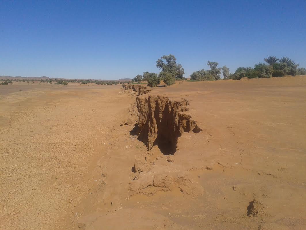 3b37c342-656c-4e25-9d6c-7c35464ef238