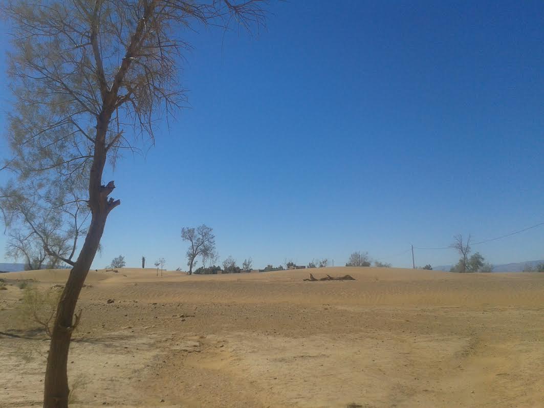 40dc7ca5-c757-40e7-9965-d77acfdbf118