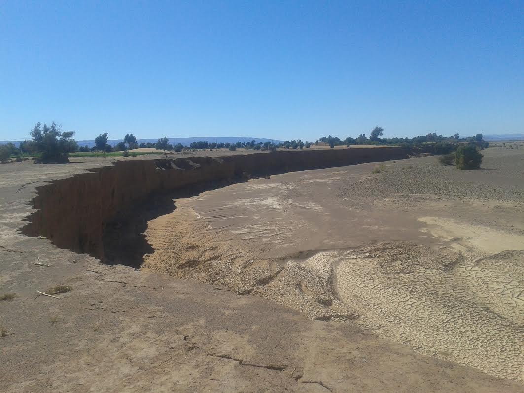 497c5aea-3b29-47e8-860b-9de6cc025b32