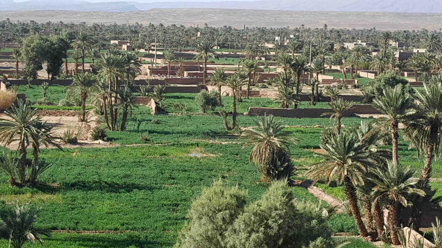 537bc822-ae1c-45dd-8d0d-f76cf8ccb34a