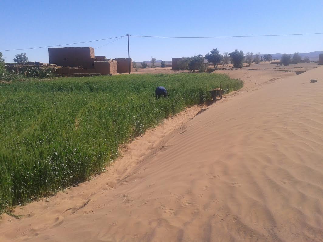 53b4f2cd-e9ba-4a3c-a15b-4d9493fdfe34