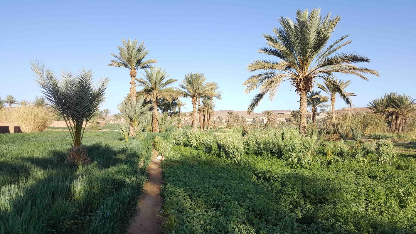 5f2d6cb6-4303-4765-b7fb-03682399a0b8