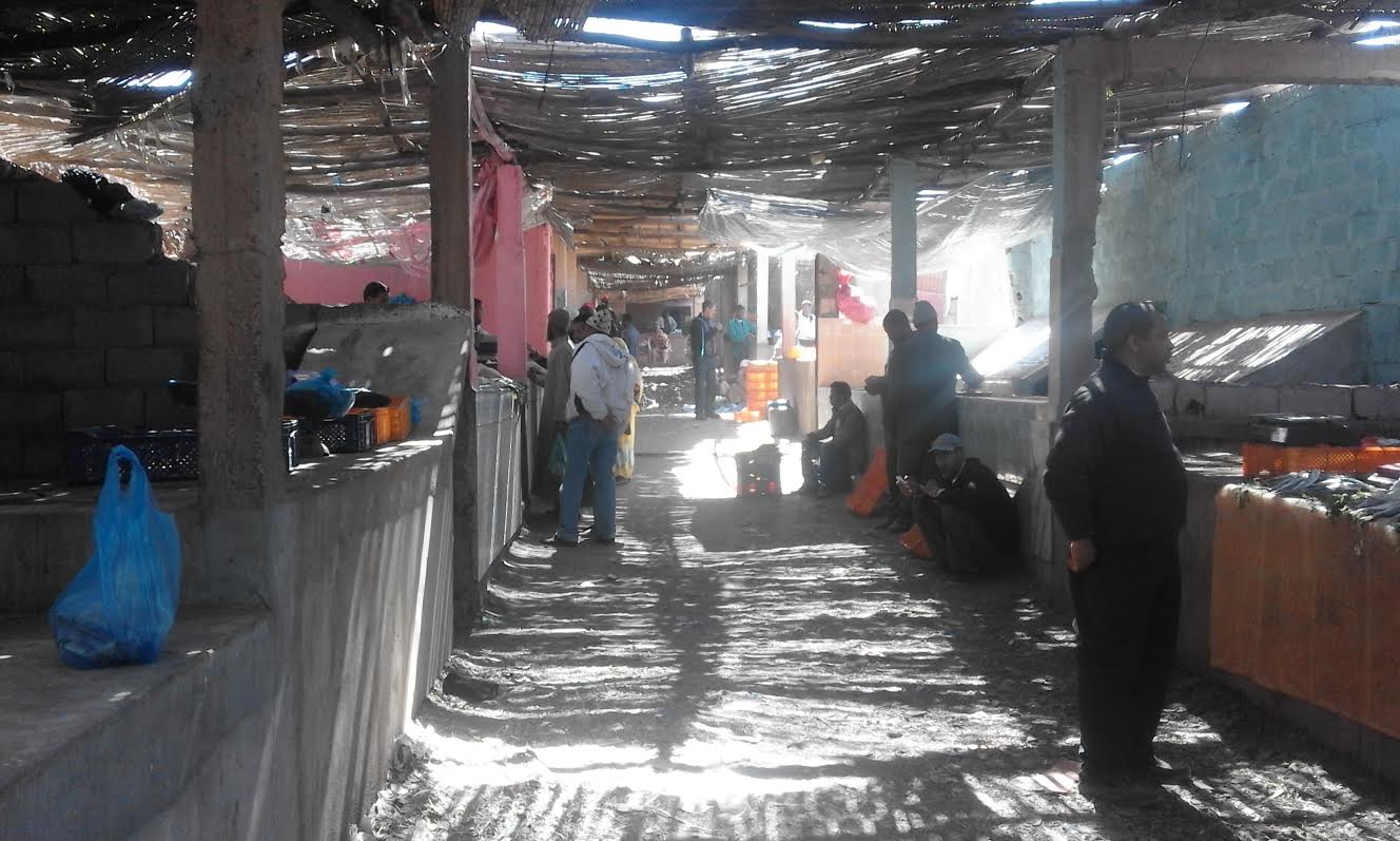 6ffd8a8e-1399-4478-8dd4-ff13c70b888f