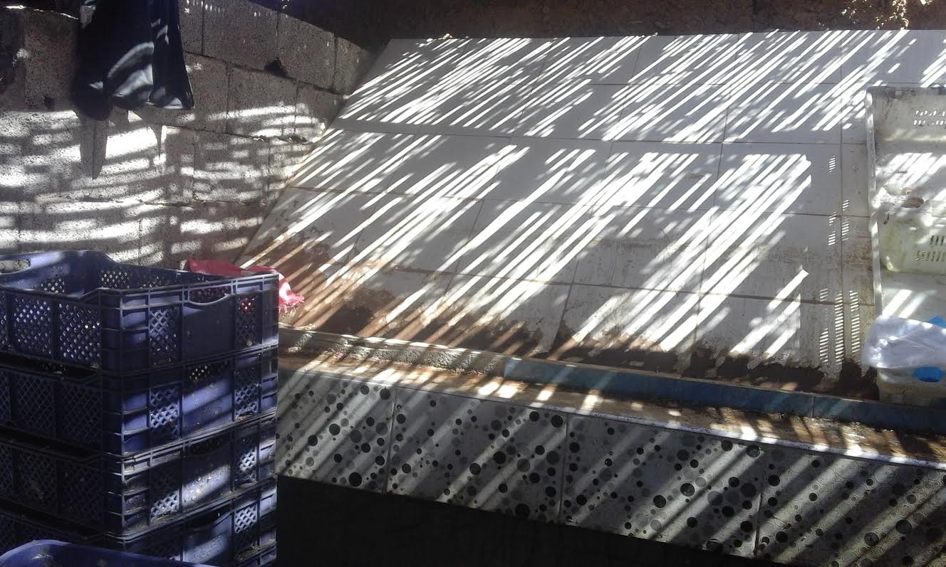 75e8f801-f63a-4b03-8407-a7a4edd0d771