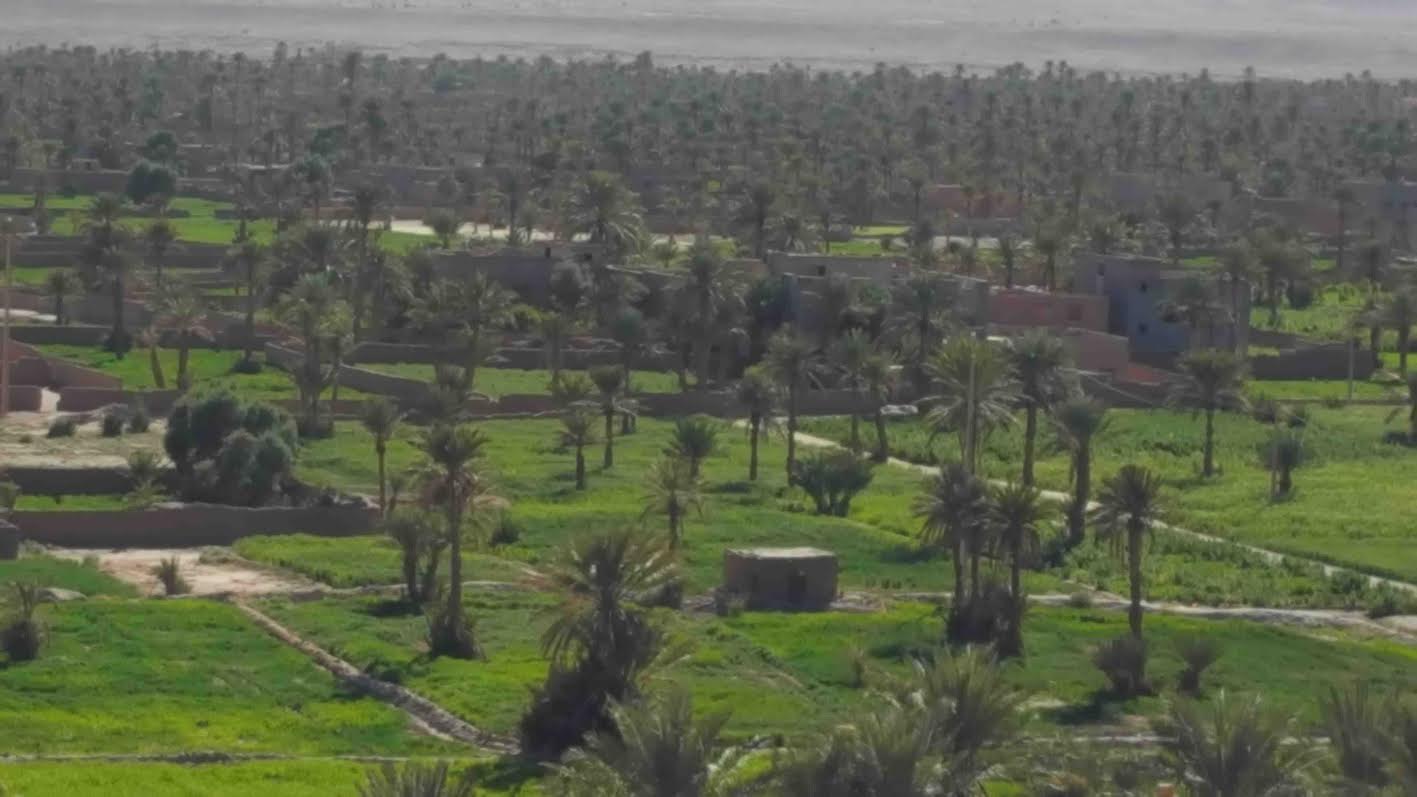 a50de50a-7514-419a-9c05-46d71b66501c