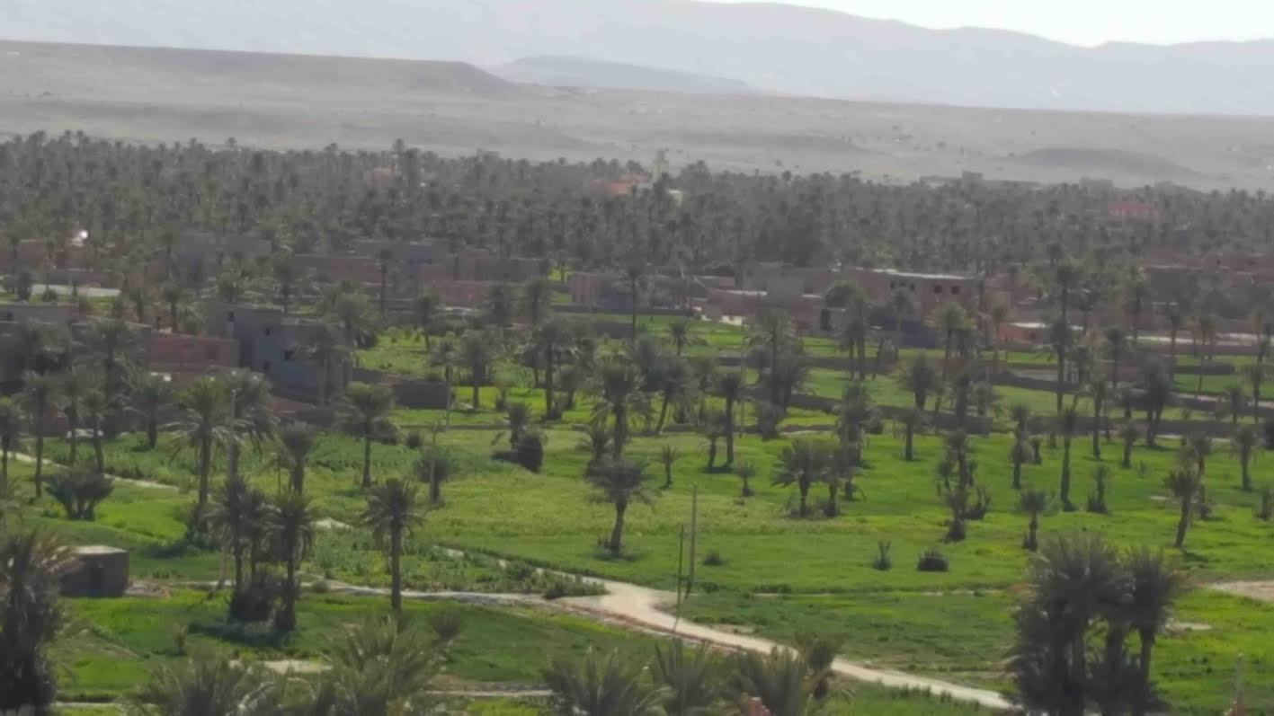 a68e3f16-8bbc-4b37-ba21-8d23f7bd0f8f