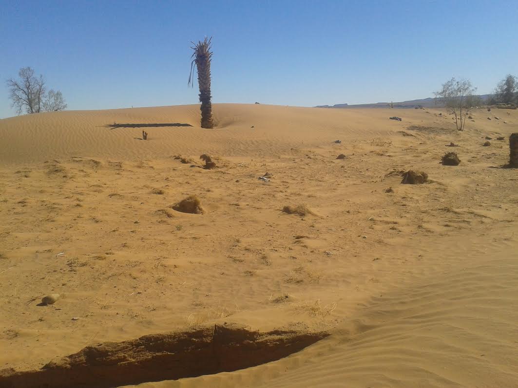 b5405c08-2c73-4e29-97a4-4c3ca987ba1e