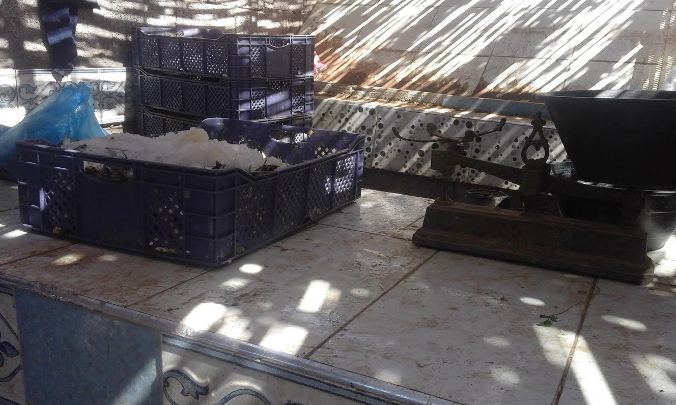 cd97a698-ec32-40a9-8345-fa2ed645533a