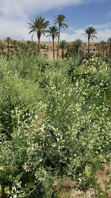 e441c397-6292-4935-baa6-2f0a8c6b79ae