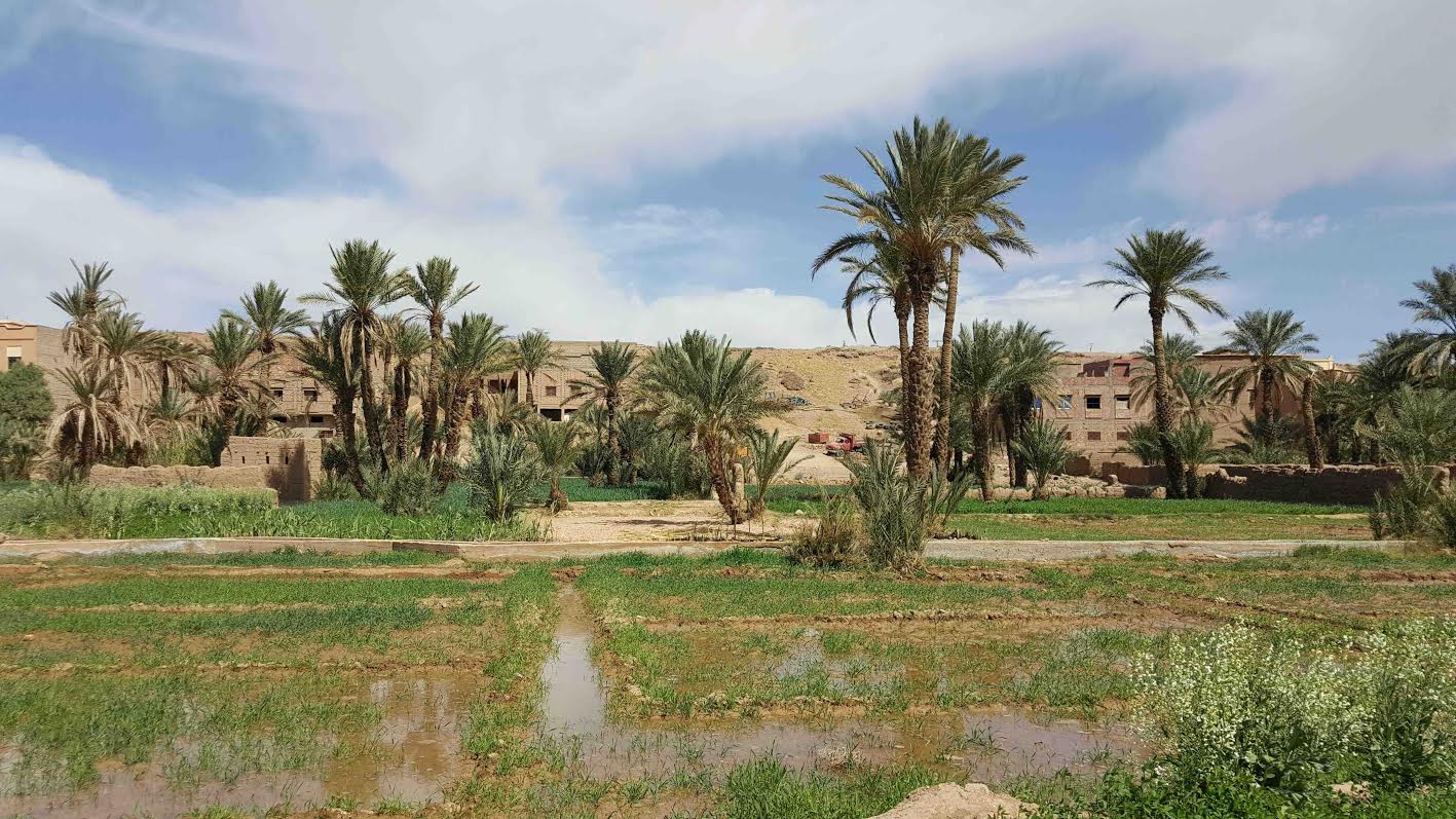 e4f22bde-8162-449f-a95a-2122c3af34df