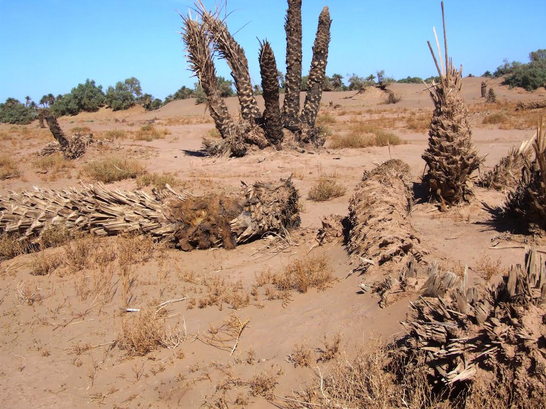 16c0ed96-4918-4ffa-a371-f9a65f4c82da