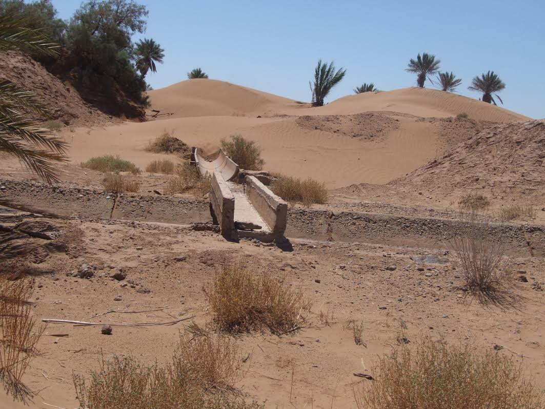 39fdf52a-4366-466d-a550-ba81e6a451b8