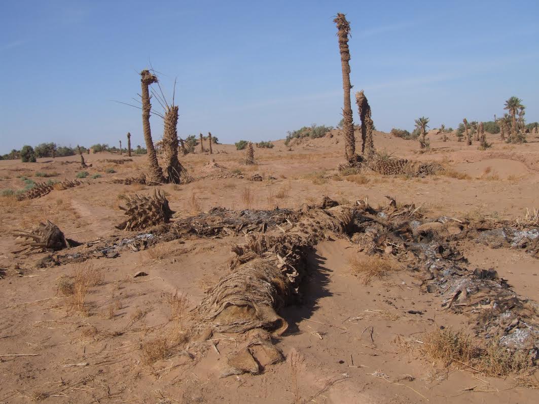 5b3a3938-c25d-4c40-b49e-f3daa5a9d20f