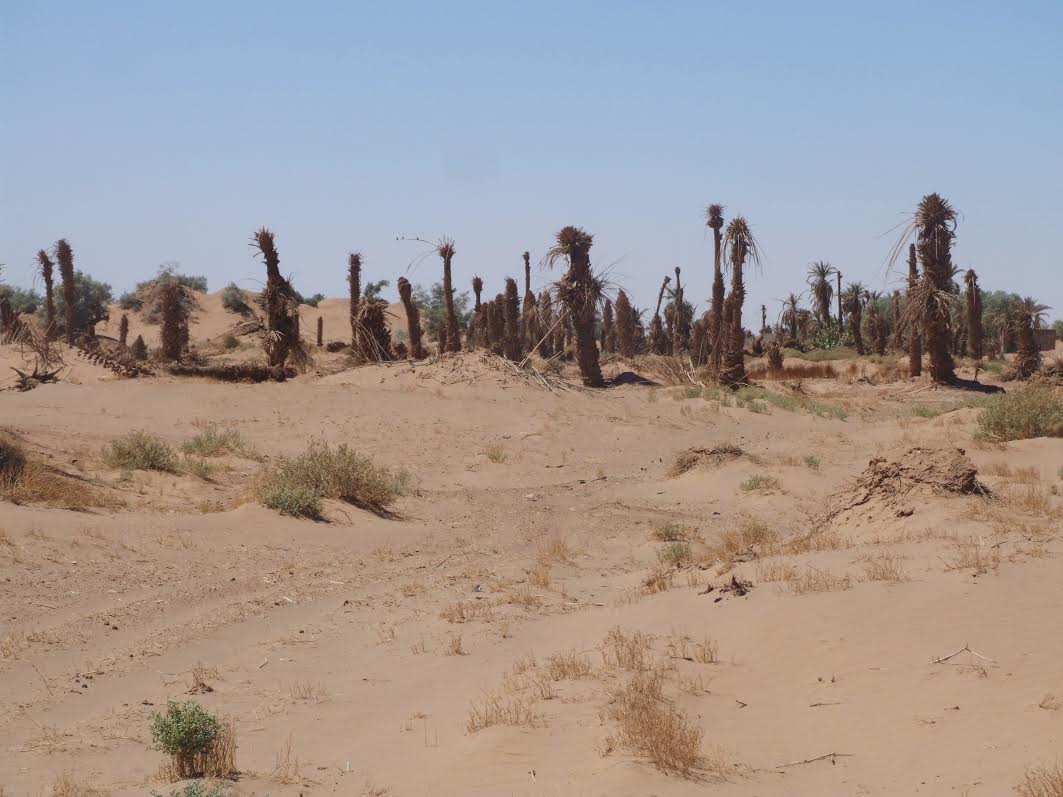 5d8893cc-3e95-4237-9216-1cefac8c6250