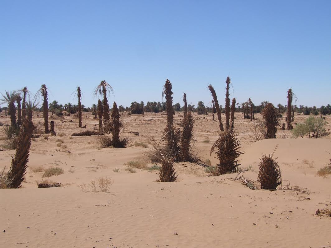 6a54cc05-3d5d-43c4-8677-5c031592fe66