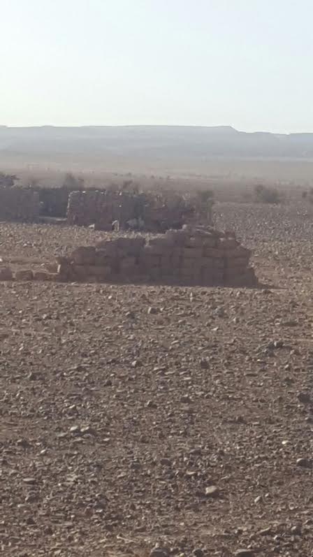 a3666e6e-e9b9-450c-abf1-47df2996d61d